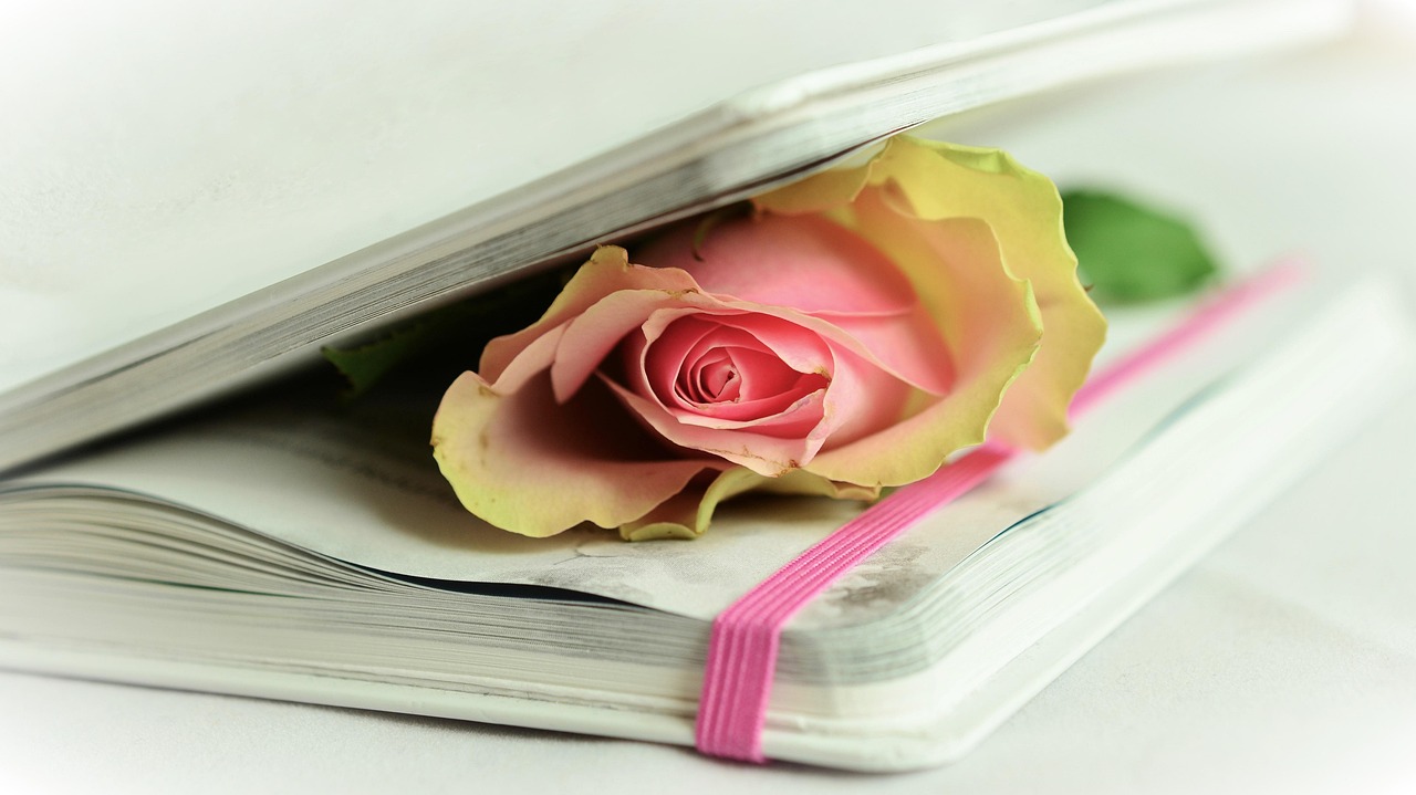 PTSD through Poetry